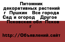 Питомник декоративных растений г. Пушкин - Все города Сад и огород » Другое   . Псковская обл.,Псков г.